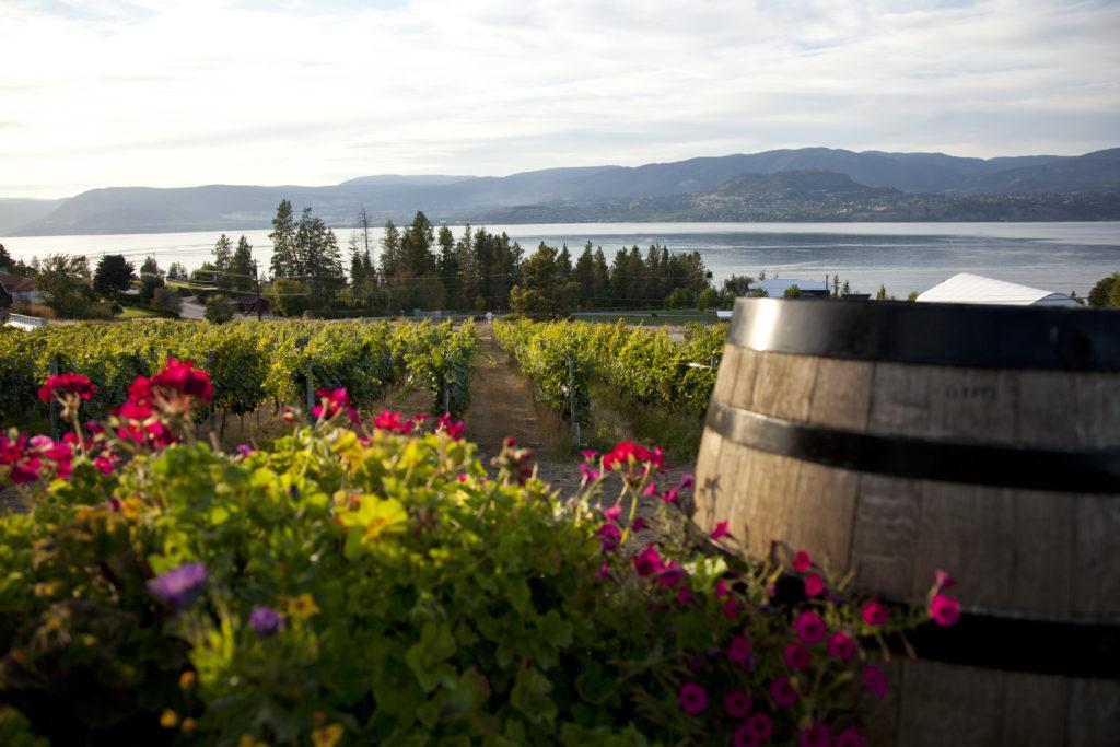 Summerhill Pyramid Winery ©Canadian Tourism Commission